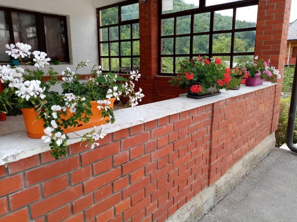 Apartman Dunja I Milos Mokra Gora Exteriör bild