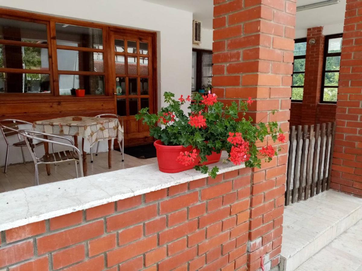 Apartman Dunja I Milos Mokra Gora Exteriör bild